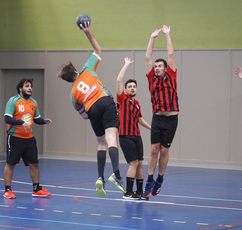 comite-handisport-occitanie-handball